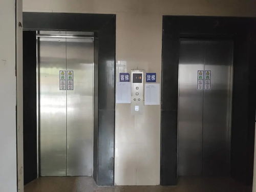 教育省心 軌交便捷 塘橋板塊東方匯景苑中等戶型電梯房深度測評